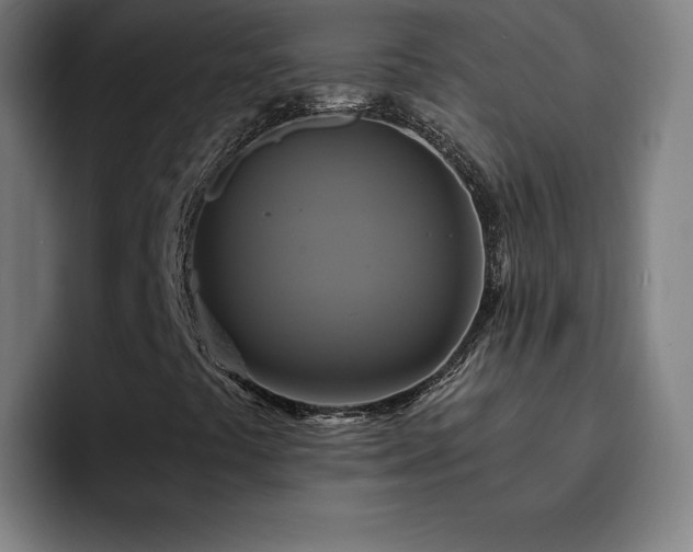 X0000094901441200712061019