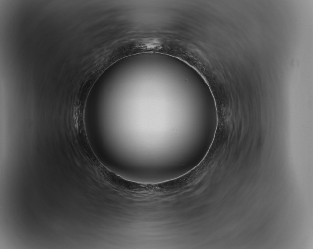 X0000094901442200712061019