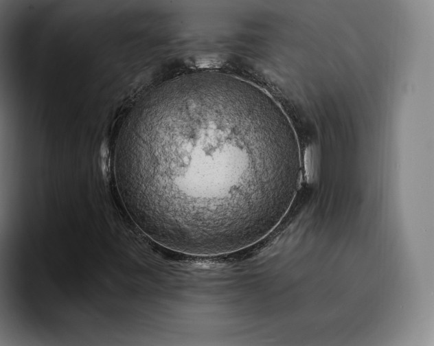 X0000094901443200712061019