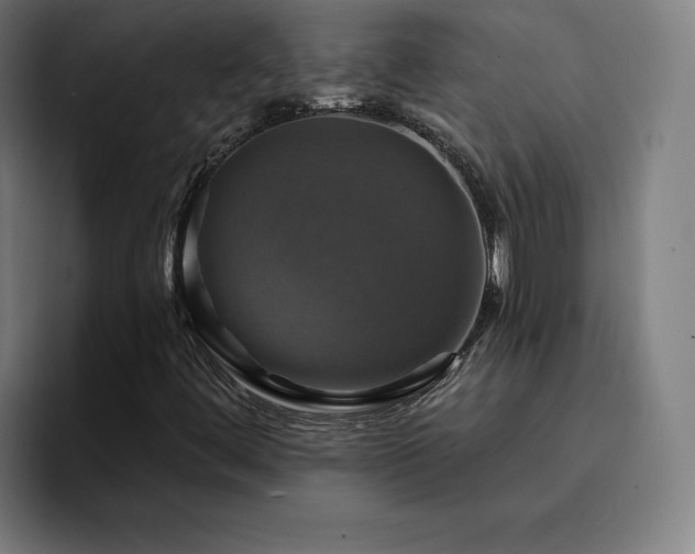 X0000094901444200712061019