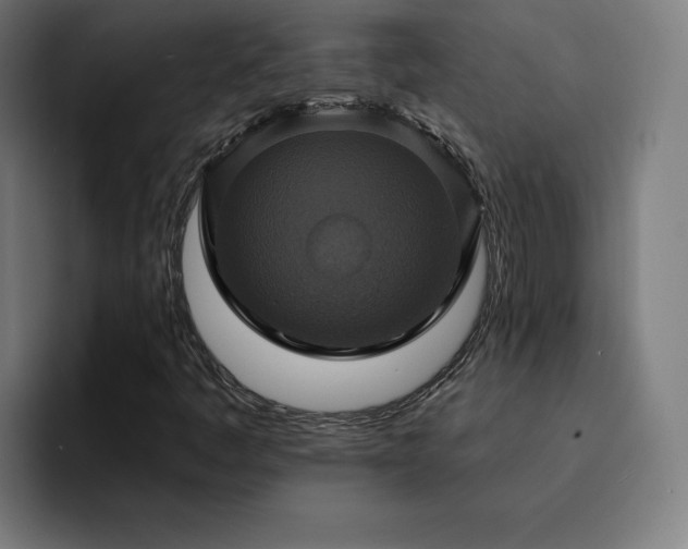 X0000094901445200712061019