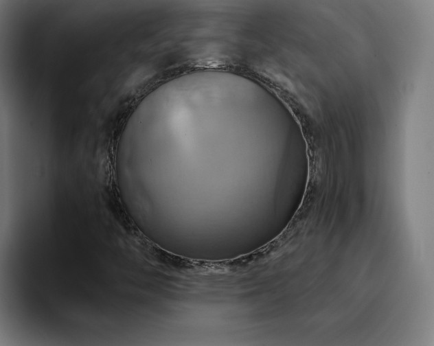 X0000094901446200712061019