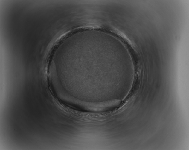 X0000094901448200712061019
