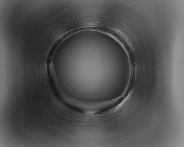 X0000094901449200712061019