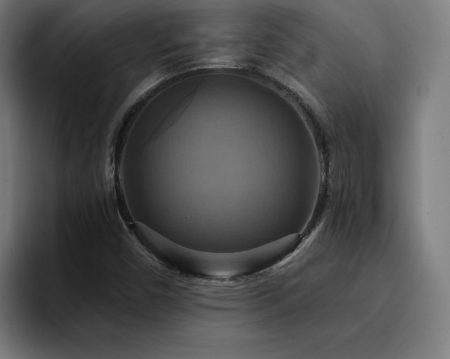 X0000094901450200712061019