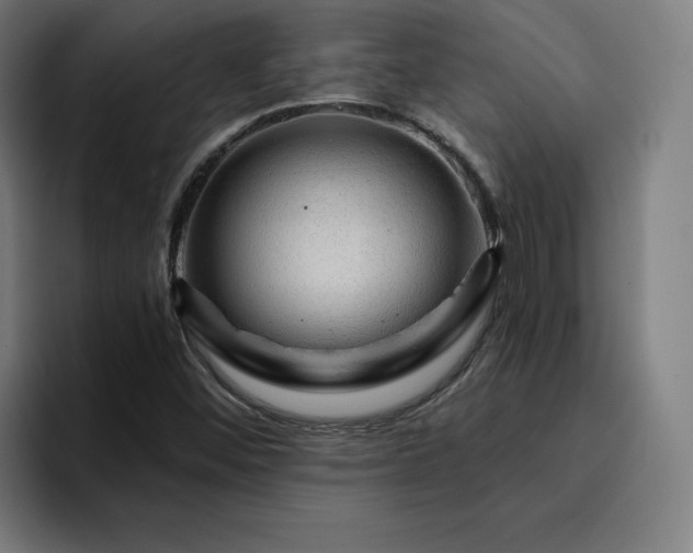 X0000094901452200712061019