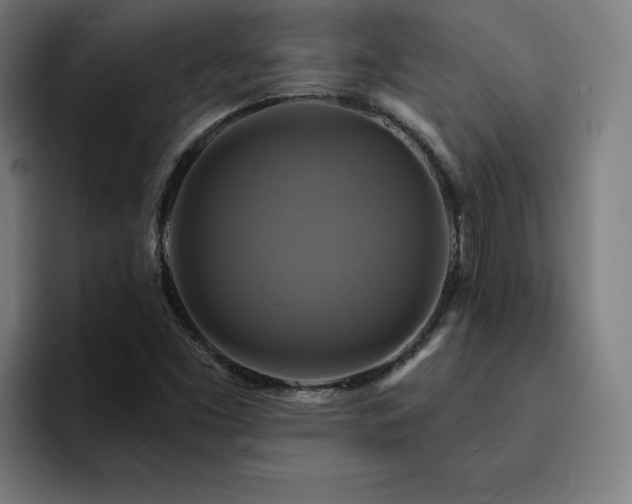 X0000094901453200712061019