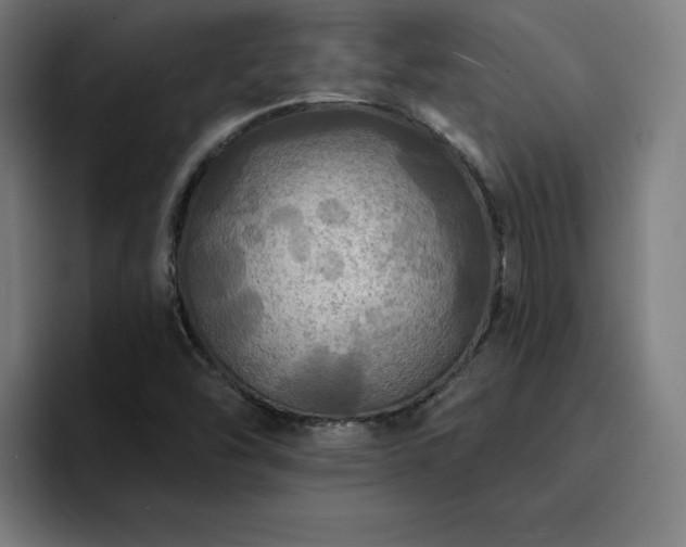 X0000094901454200712061019