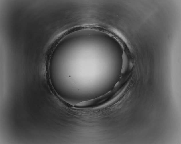 X0000094901456200712061019