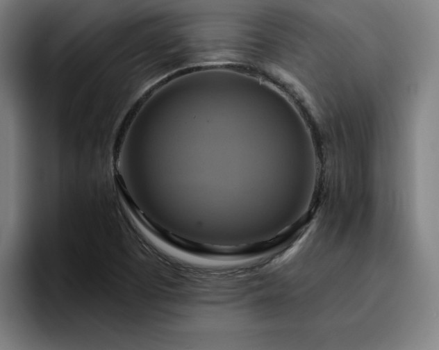 X0000094901457200712061019