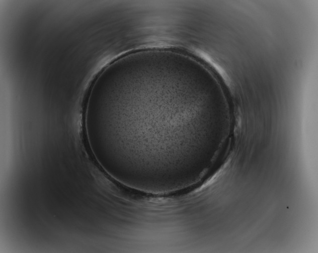 X0000094901459200712061019