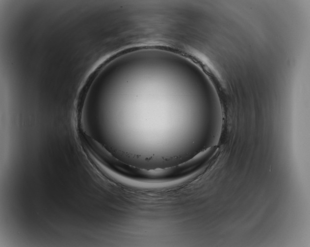 X0000094901460200712061019