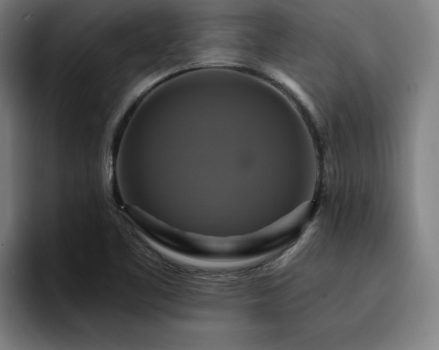 X0000094901461200712061019