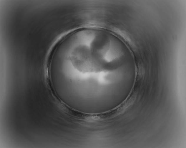 X0000094901462200712061019