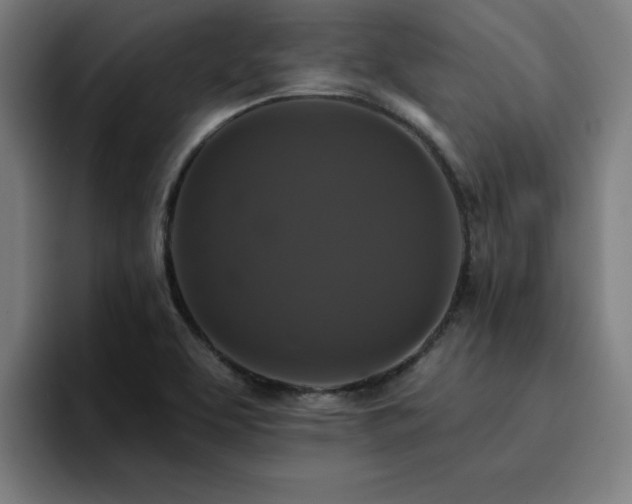 X0000094901463200712061019