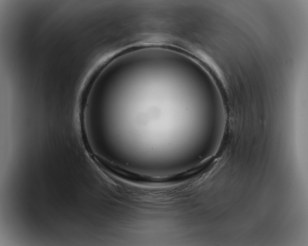 X0000094901464200712061019