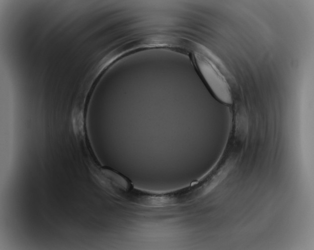 X0000094901465200712061019