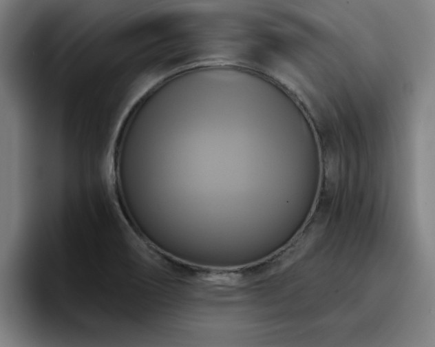 X0000094901466200712061019