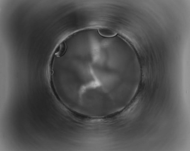 X0000094901467200712061019