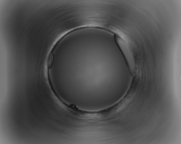 X0000094901468200712061019