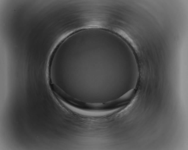 X0000094901469200712061019