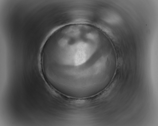 X0000094901470200712061018