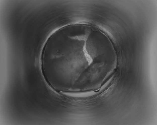 X0000094901471200712061018