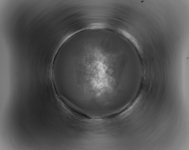 X0000094901473200712061018