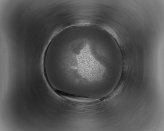 X0000094901475200712061018