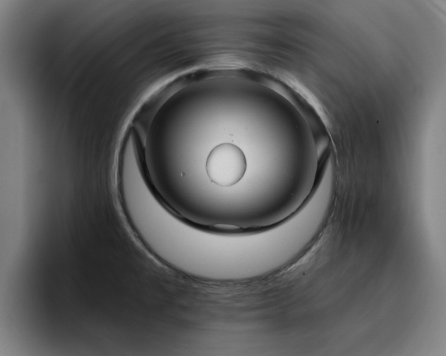 X0000094901477200712061018