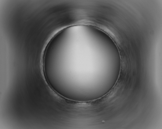 X0000094901478200712061018