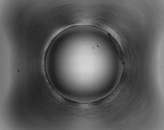 X0000094901480200712061018