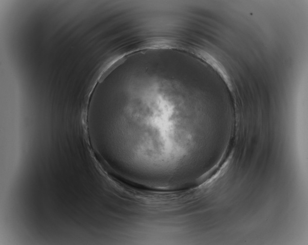 X0000094901481200712061018