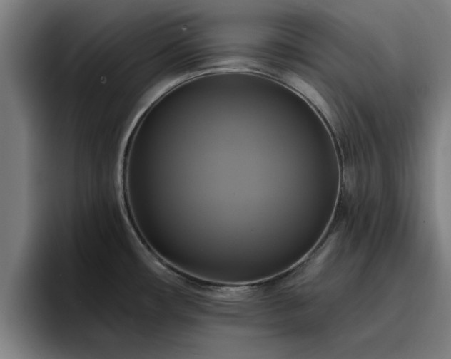 X0000094901482200712061018