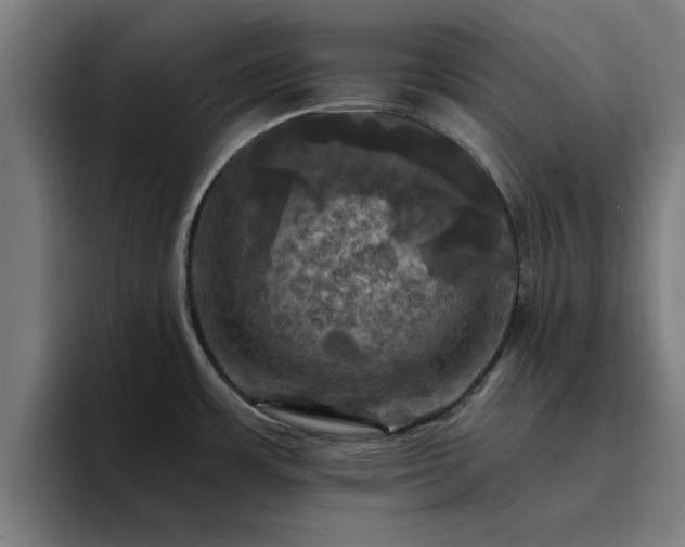 X0000094901483200712061018