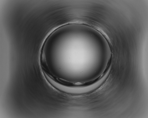 X0000094901484200712061018
