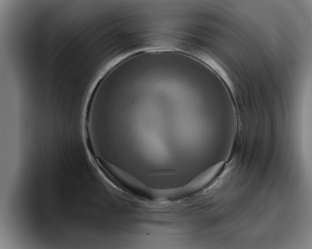 X0000094901485200712061018