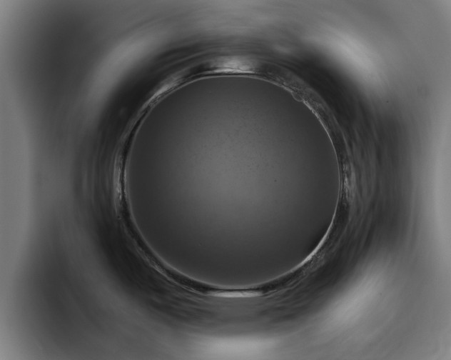 X0000094901487200712061018