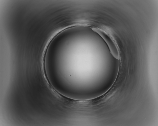 X0000094901488200712061018