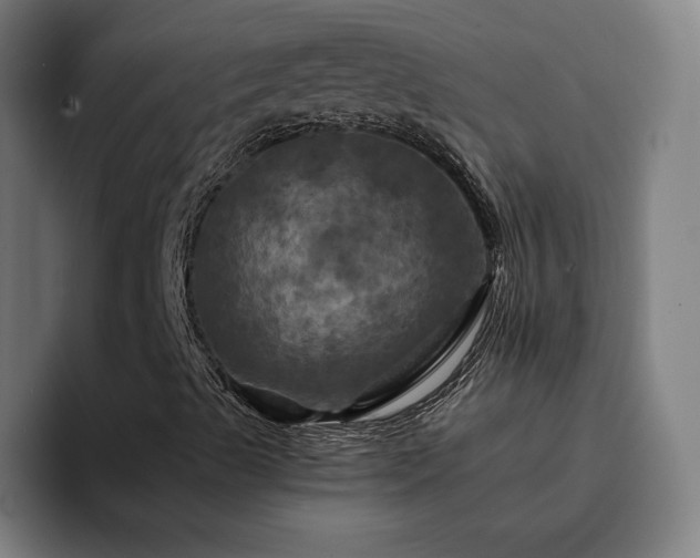 X0000094901489200712061018