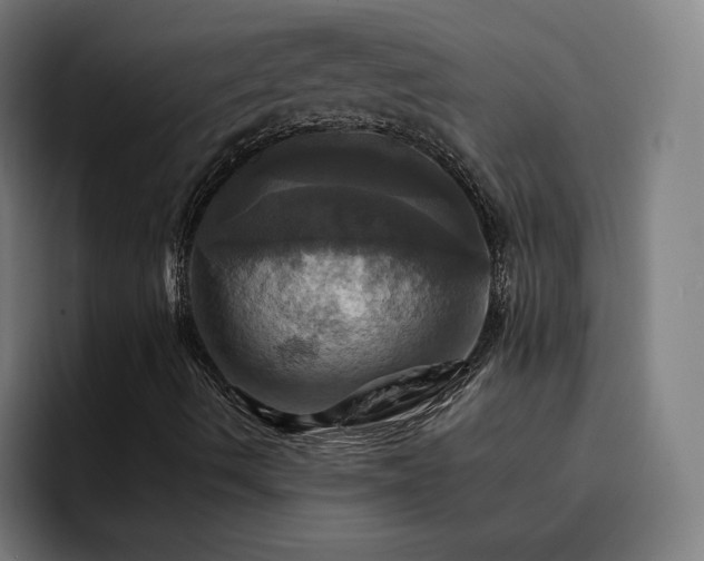 X0000094901490200712061018