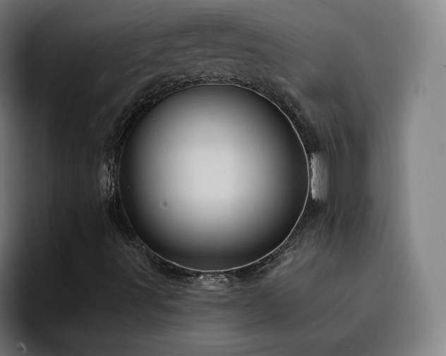X0000094901491200712061018