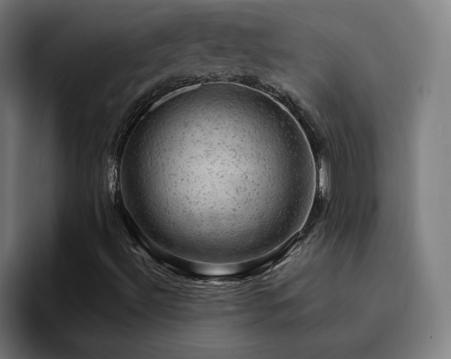 X0000094901492200712061018