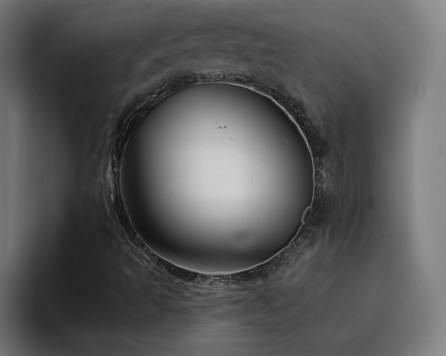 X0000094901493200712061018