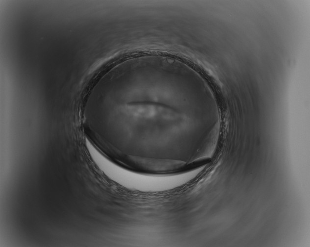 X0000094901494200712061018