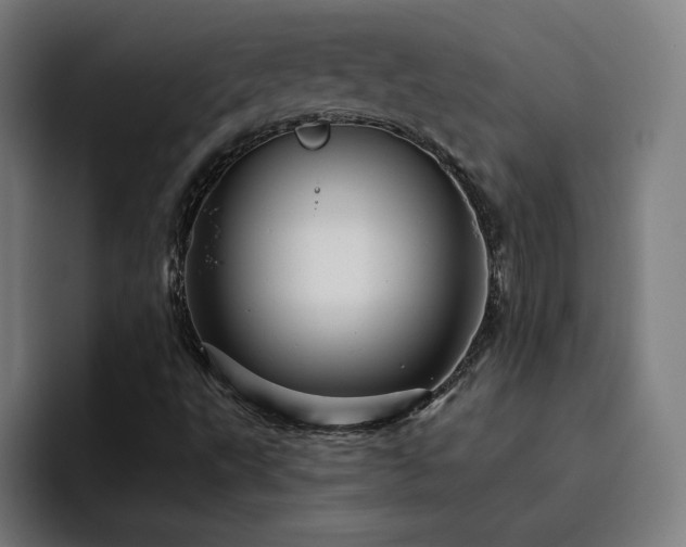 X0000094901495200712061018