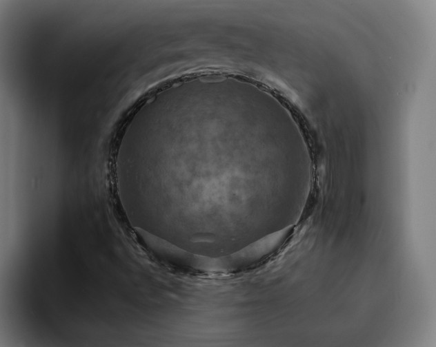 X0000094901496200712061018