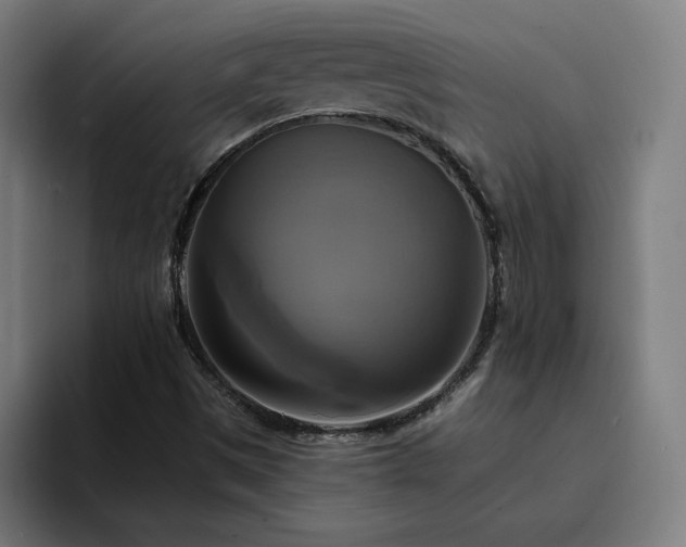 X0000094901497200712061018