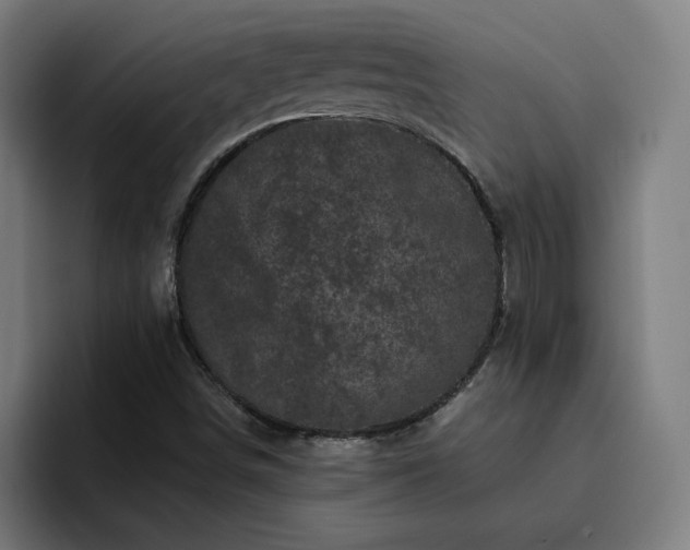 X0000094901498200712061018