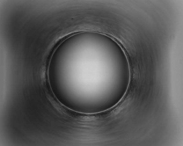 X0000094901499200712061018